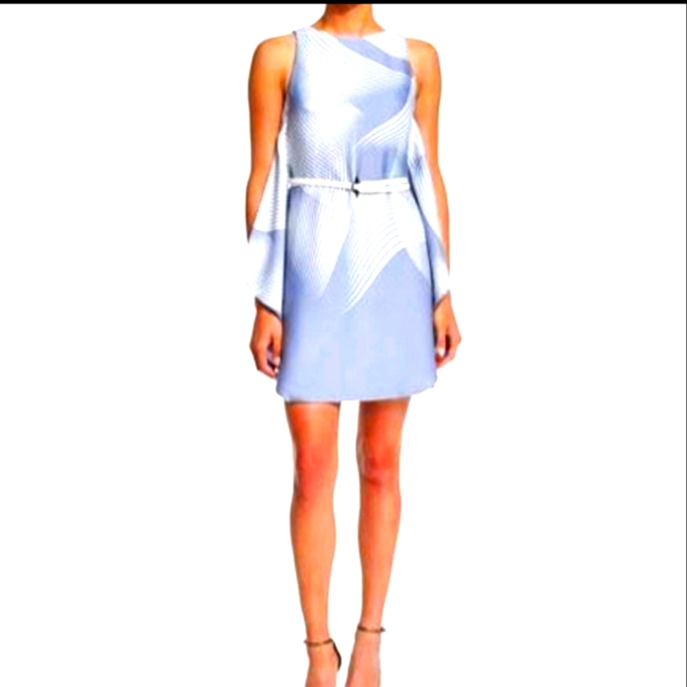 Halston Graphic Wing Dress